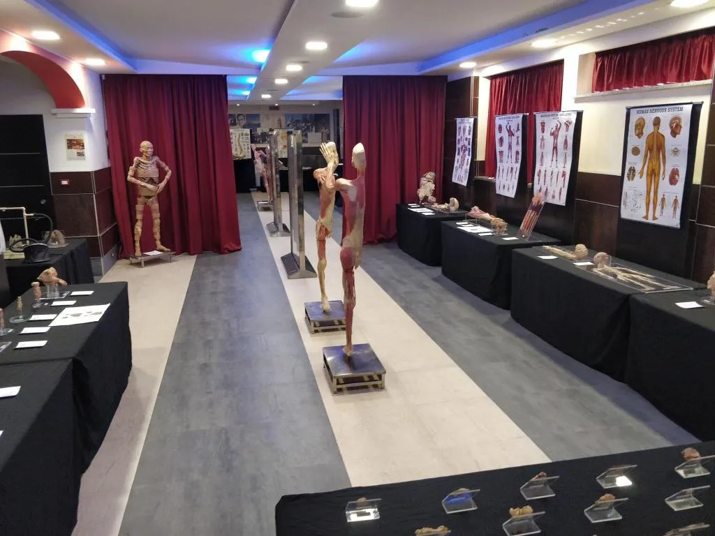 Conferences, Rama Palace, Naples