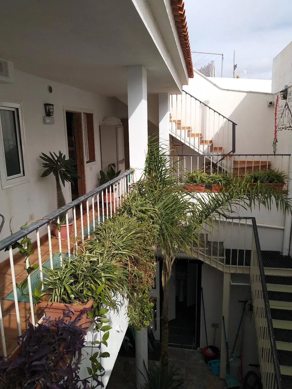 Lobby, Puerto Nest Hostel, Tenerife