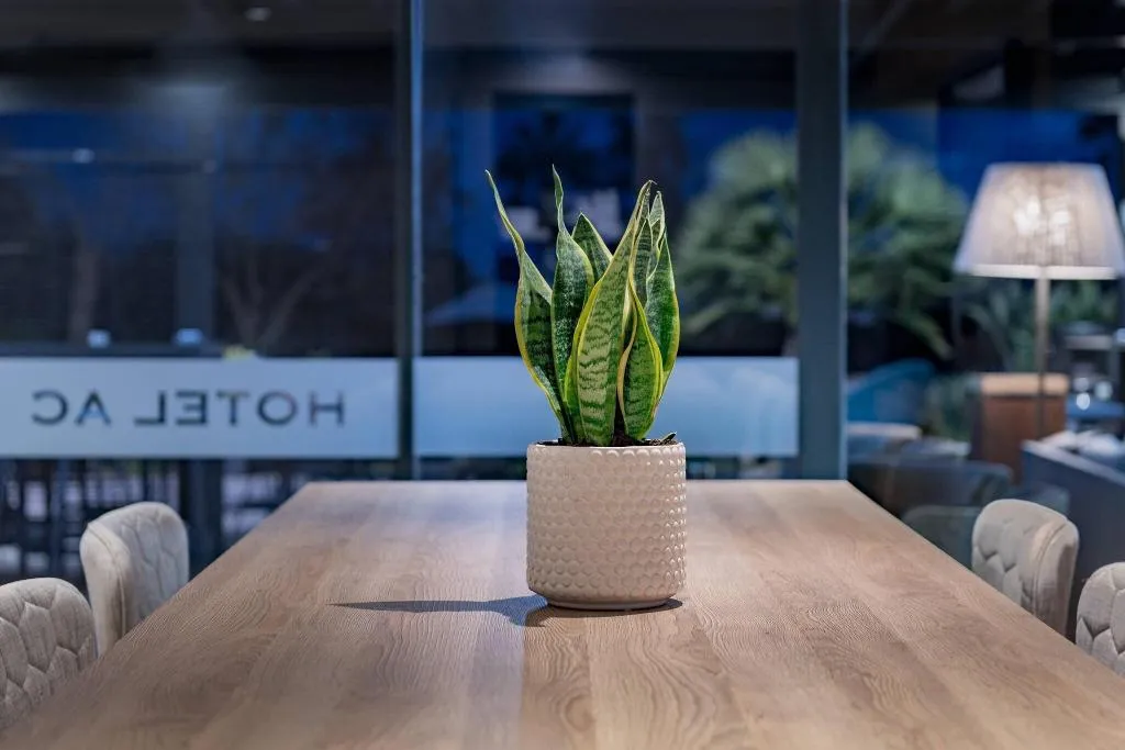 Lobby, AC Gava Mar, Barcelona