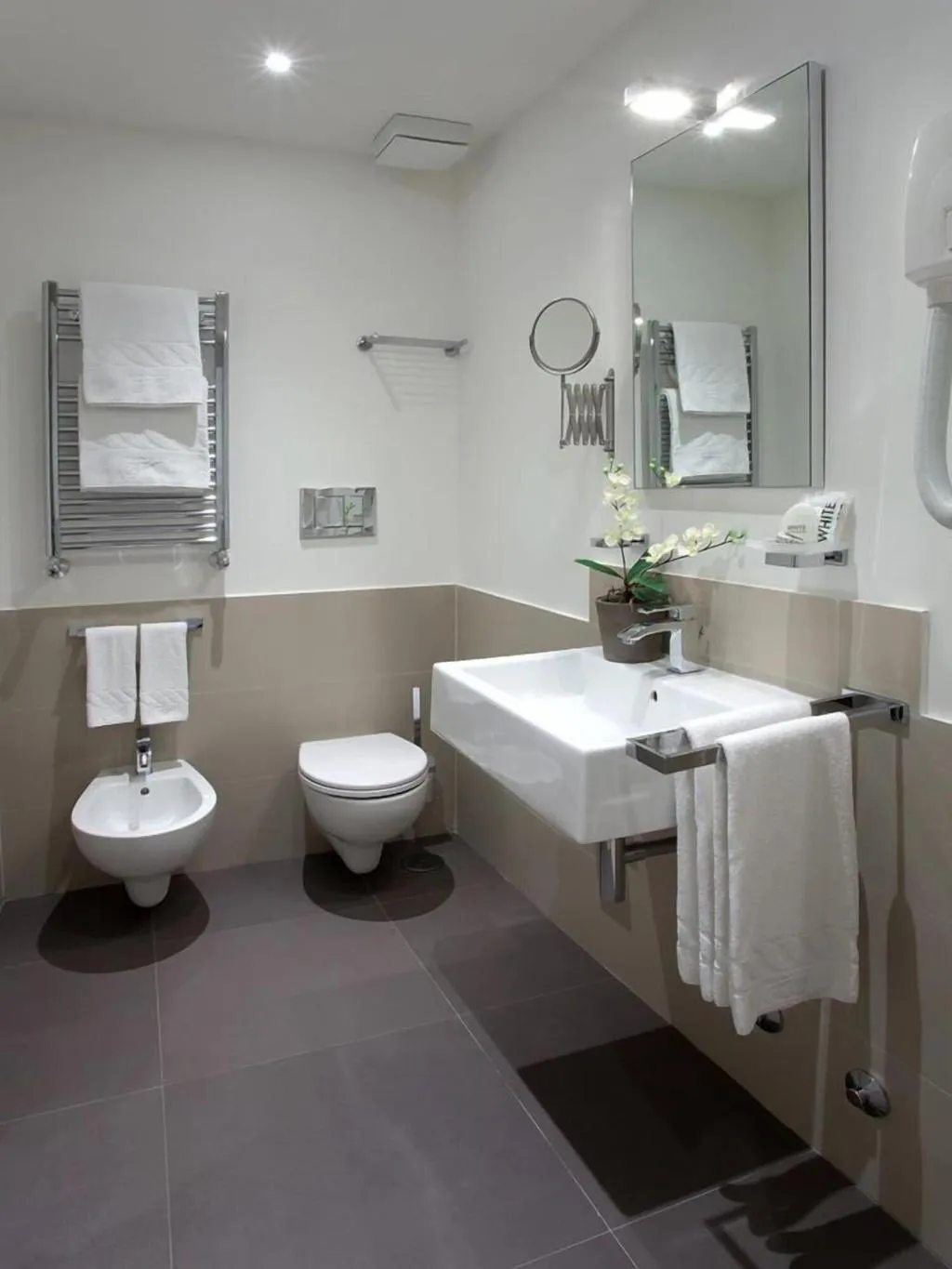 Room, Regola Suite, Rome