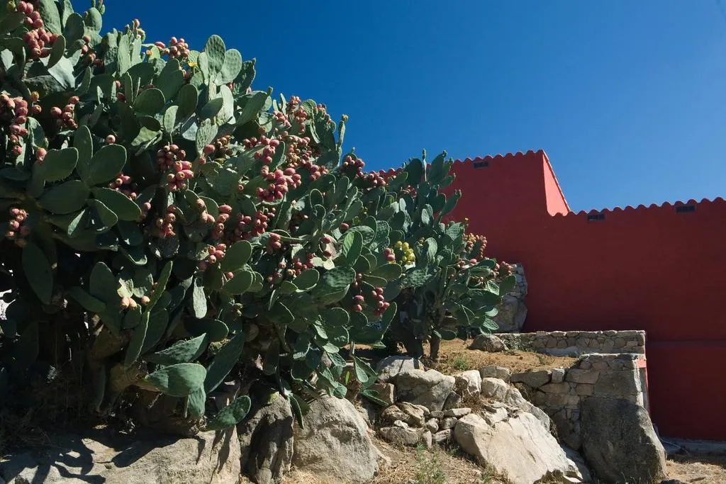 General view, Liscia Country Relais, Olbia