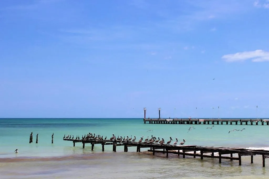 Terrace, Cabañas El Cuyo, Cancun Area