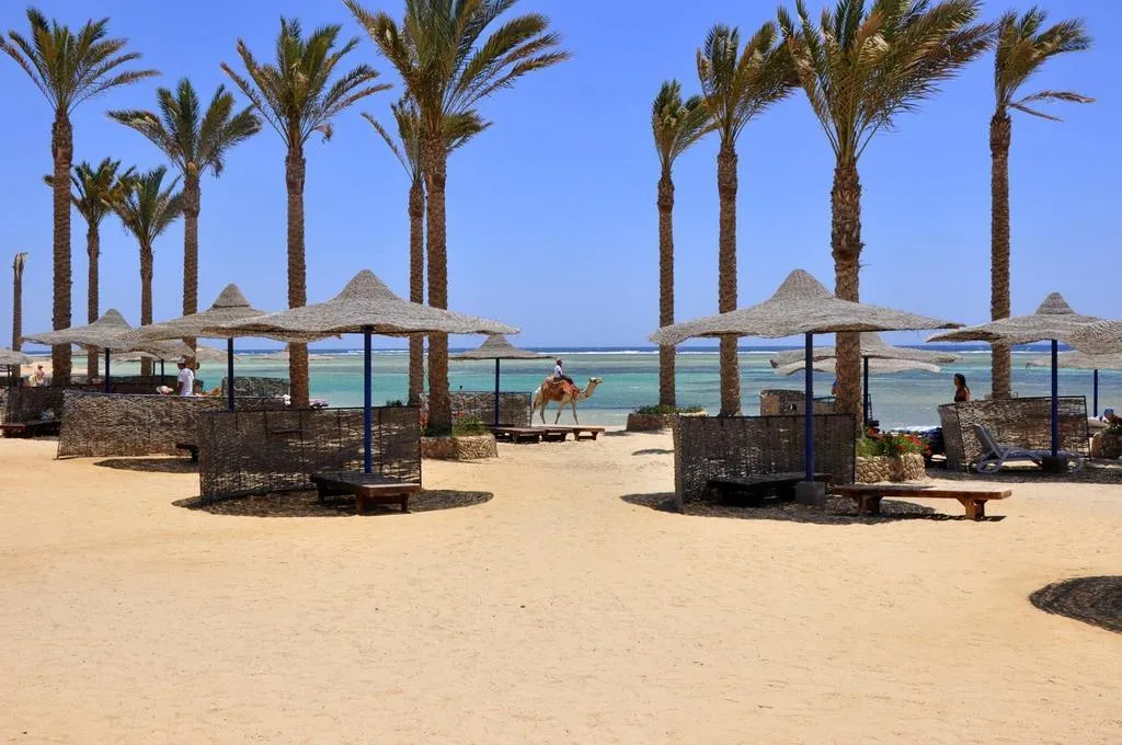 Beach, Blend Elphistone Resort, Red Sea Riviera