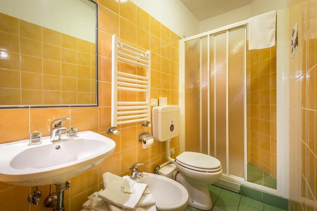 DOUBLE CLASSIC WITH VIEWS Room, Hotel Ferretti, Florence