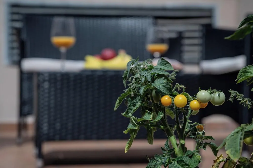 Terrace, Boutique Apartments White Swan, Prague