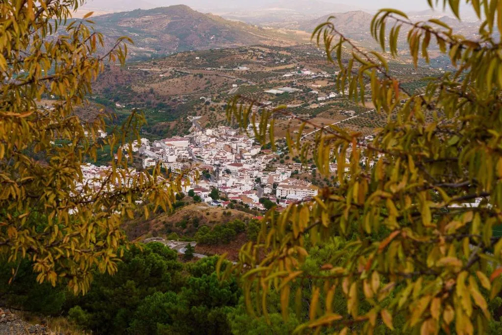 General view, Cerro de Hijar, Andalucia