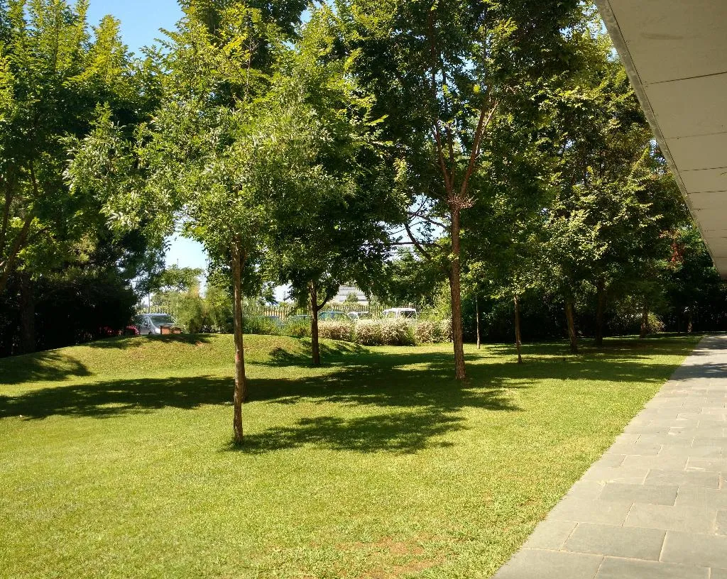 Terrace, Centre Esplai Hostel, Barcelona