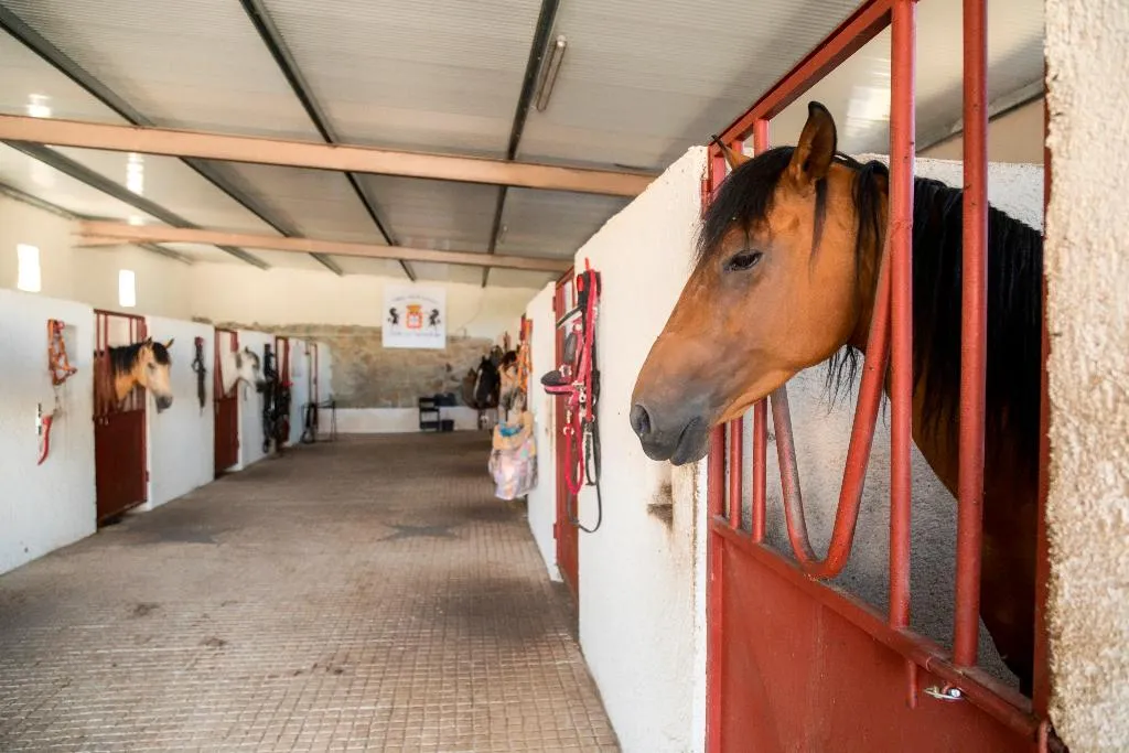 Sports and Entertainment, Casa do Redondo, Porto