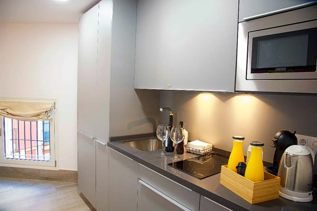 APARTMENT DELUXE Room, Overland Suites Catedral Luxury Apartments, Seville
