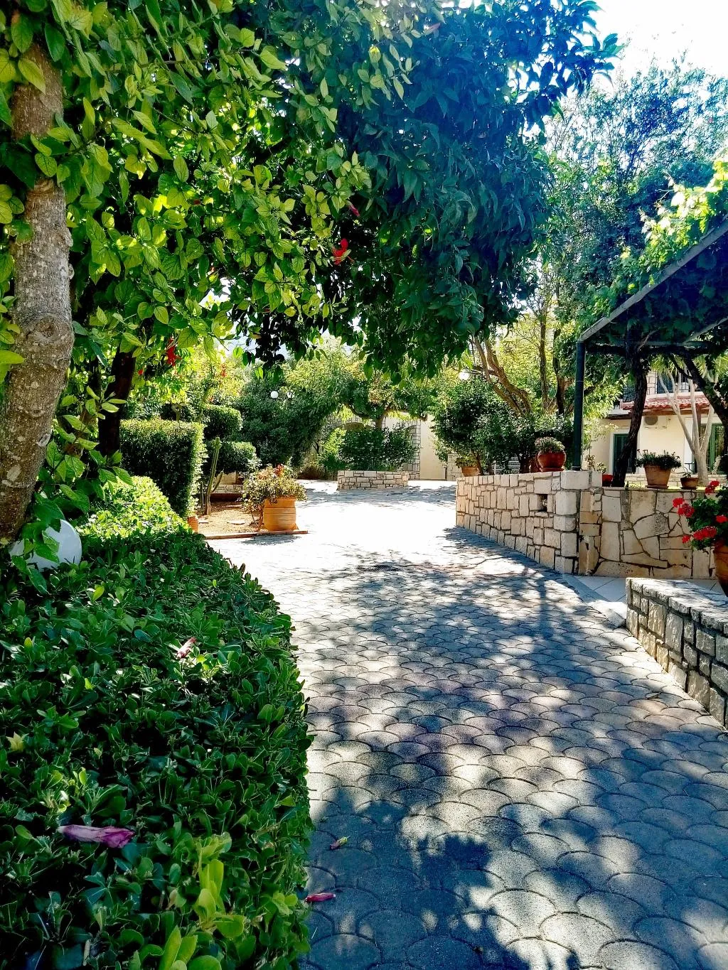 General view, Villa Vicky Hersonissos, Crete