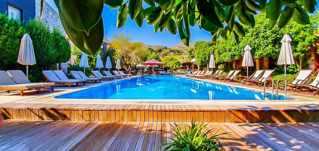 Room, Lunabegonvil Tas Evler, Dalaman
