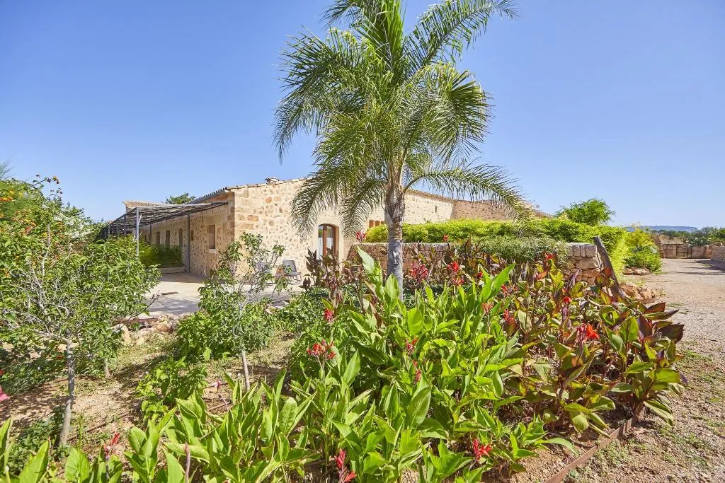 Terrace, Bennoc Petit Hotel, Majorca
