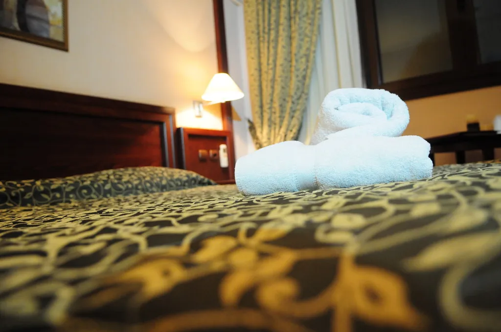 DOUBLE SINGLE USE ECONOMY Room, Avalon Airport Hotel Thessaloniki, Halkidiki