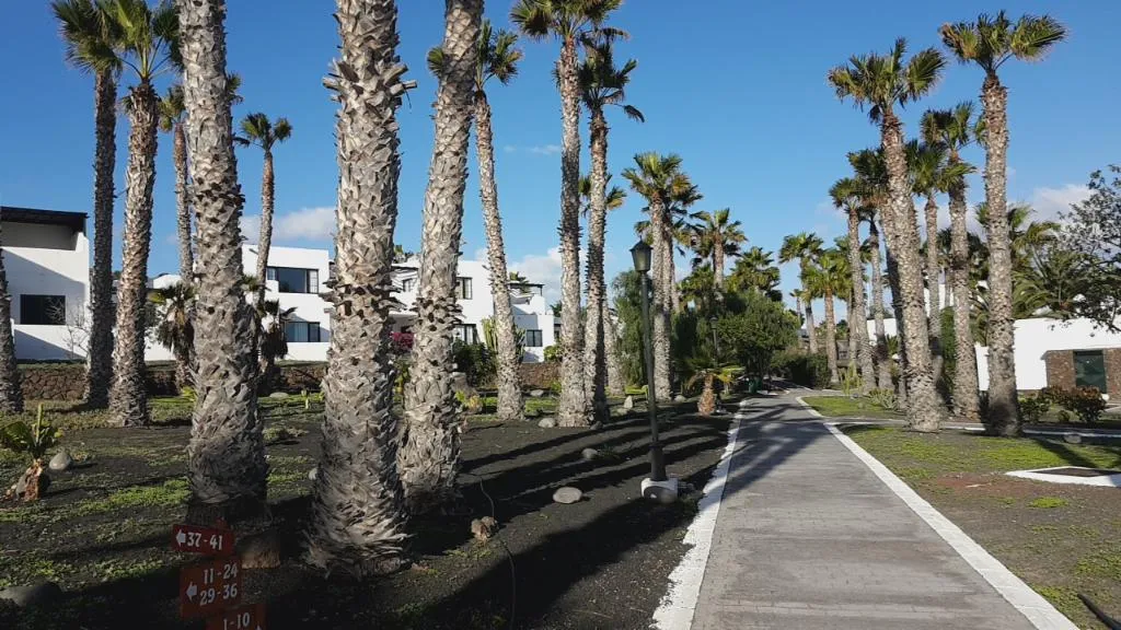 General view, Palmeras Garden, Lanzarote