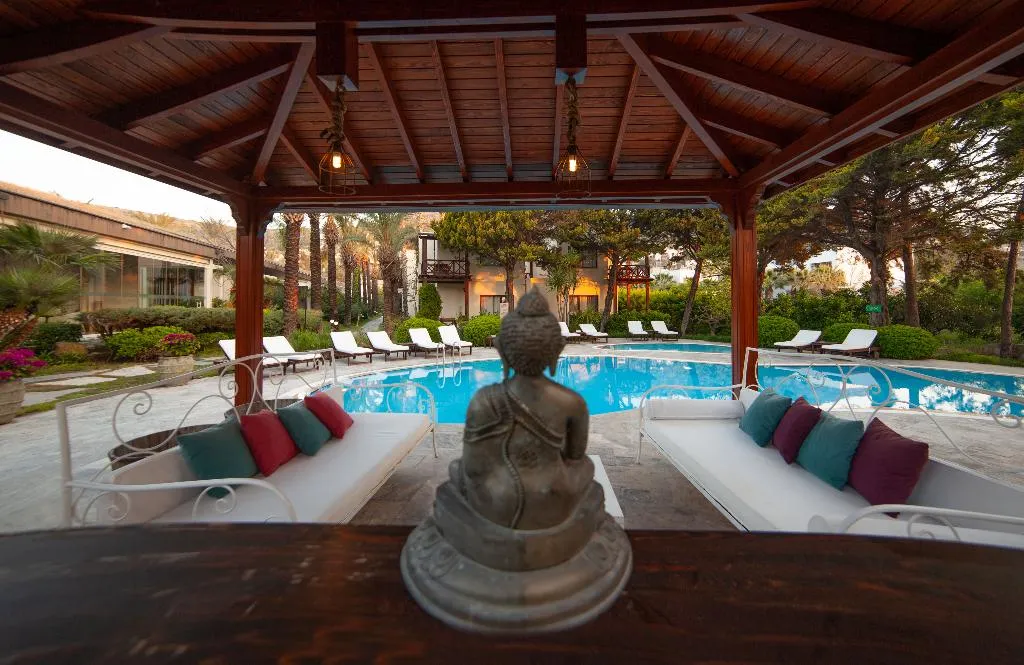 Pool, TheLifeCo Wellbeing Bodrum Center - Adults Only, Bodrum