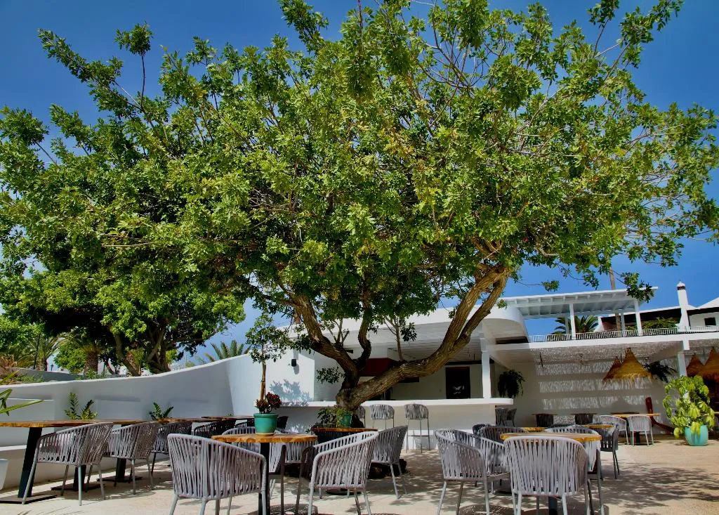 General view, Casas Heddy, Lanzarote