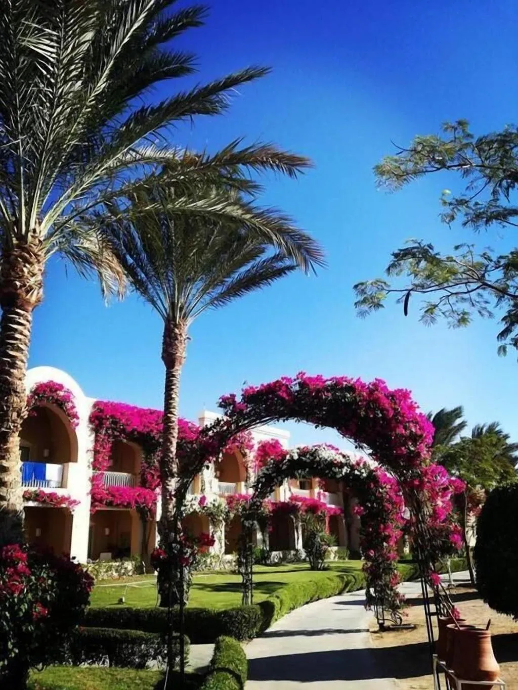 General view, Club Magic Life Kalawy Imperial, Red Sea Riviera