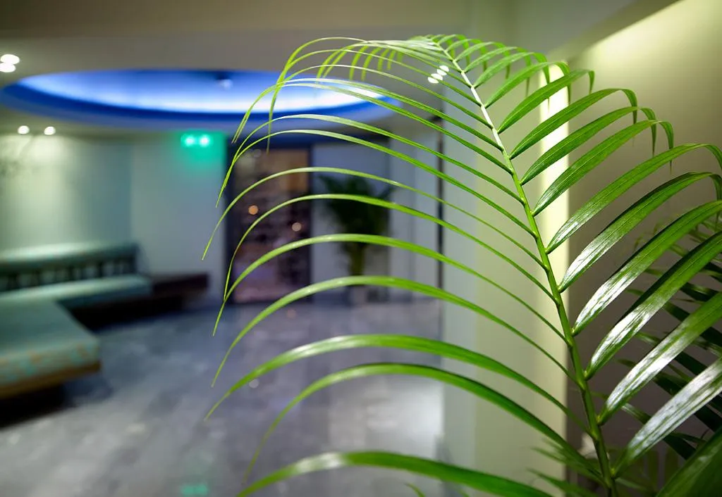 Lobby, Lato Annex Boutique Rooms, Crete