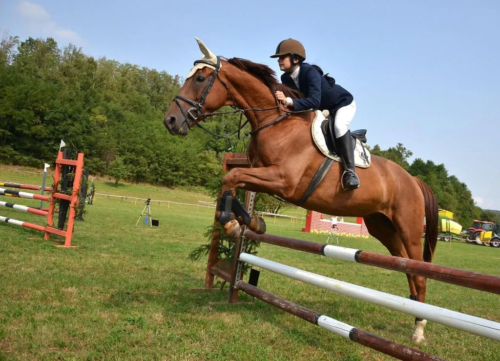 Sports and Entertainment, Country House Il Biribino, Perugia