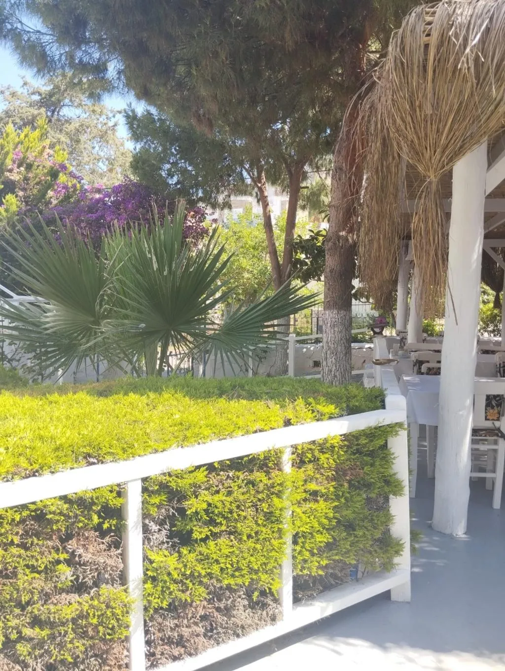 General view, Misket Hotel Bodrum, Bodrum