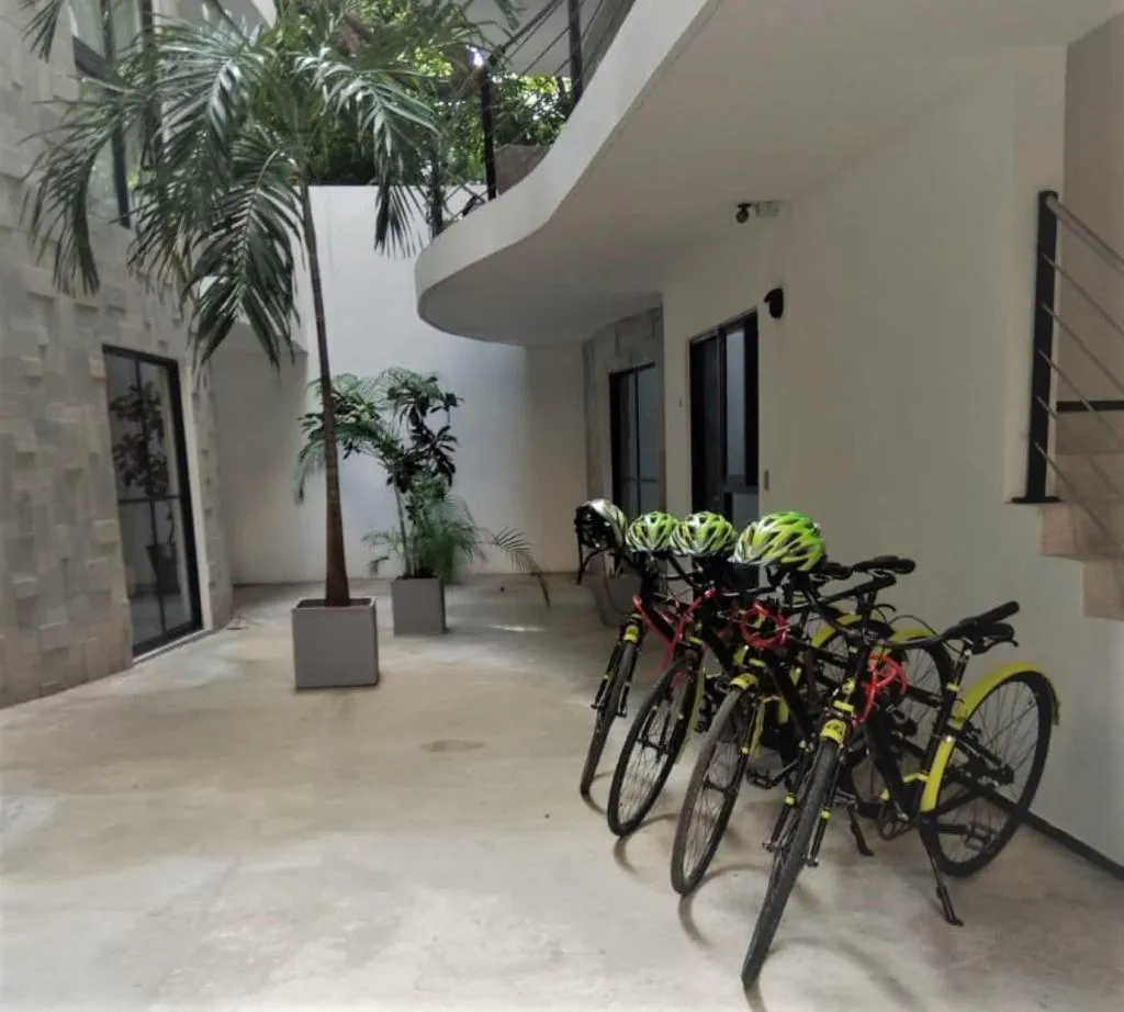 Sports and Entertainment, Sole Suites Apartments Playa del Carmen, Playa Del Carmen