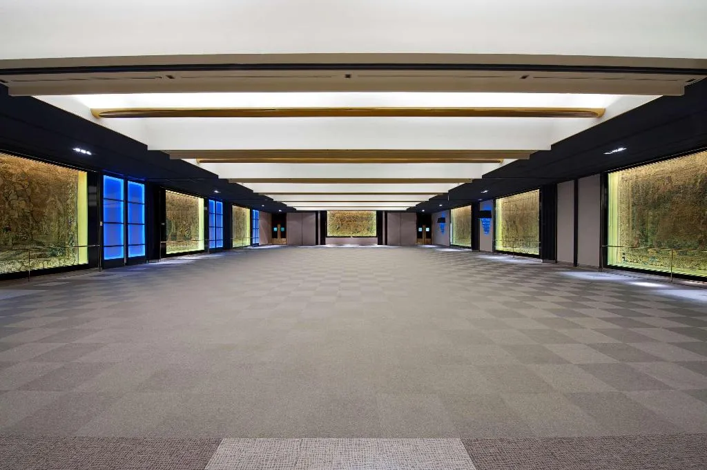 Conferences, Melia Castilla, Madrid