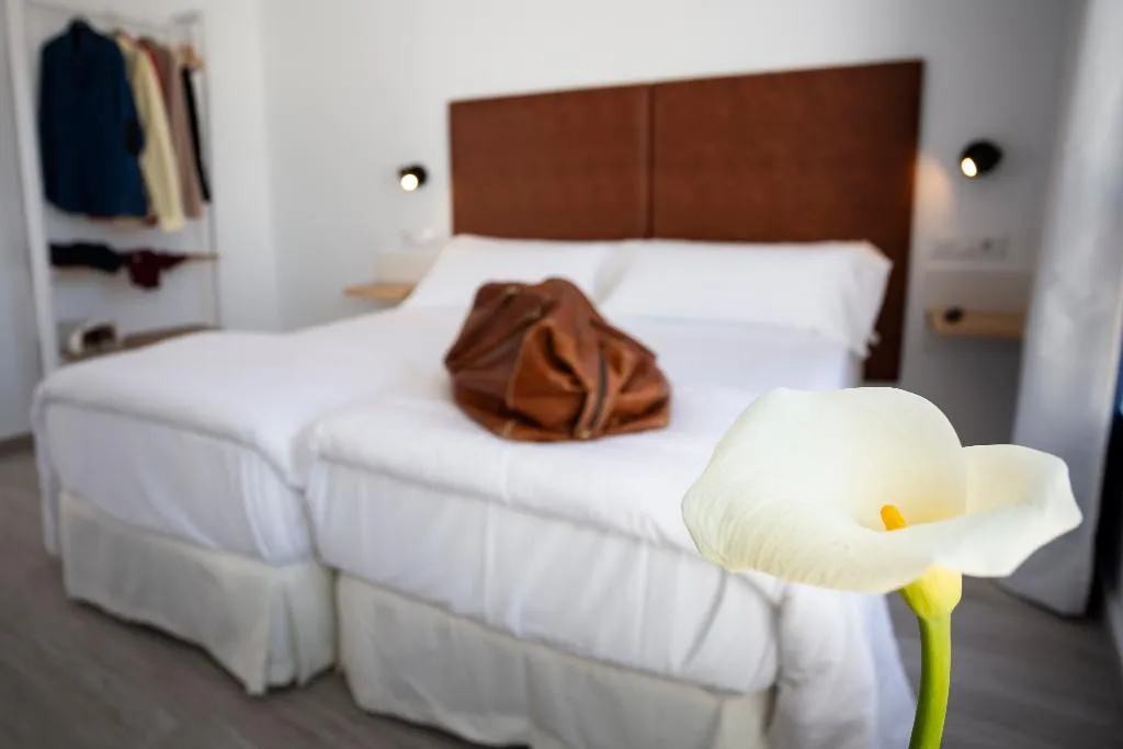 DOUBLE STANDARD Room, Basic Hotel Sevilla Catedral, Seville