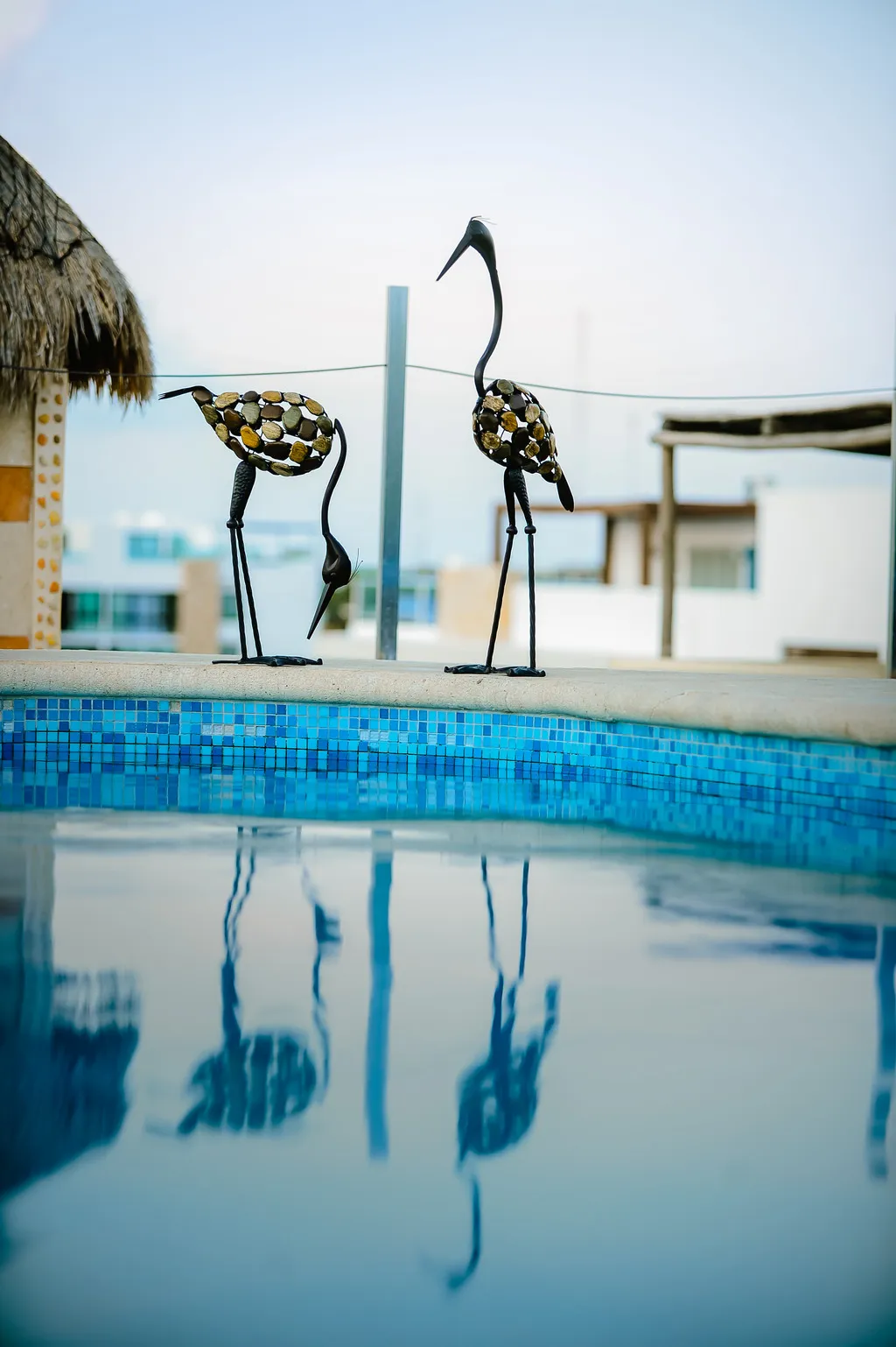 Pool, Encanto Riviera, Playa Del Carmen