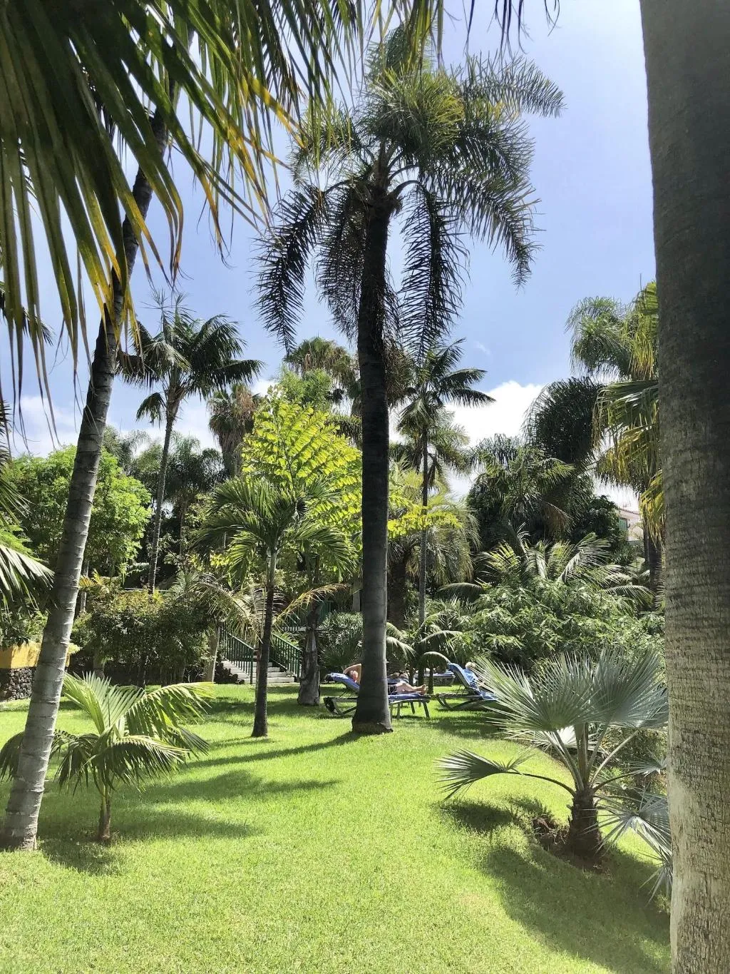 General view, Tigaiga, Tenerife