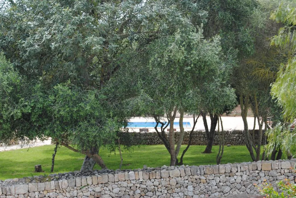 Pool, Hotel Rural Es Riquers, Majorca