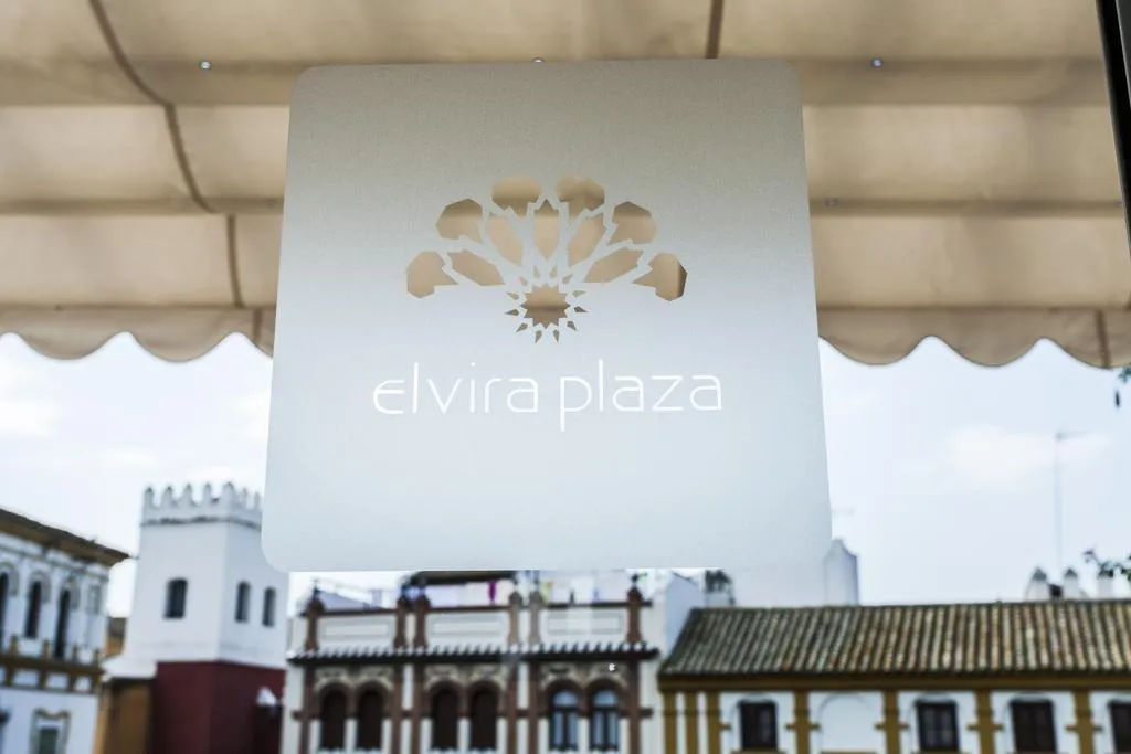 General view, Hotel Boutique Elvira Plaza, Seville