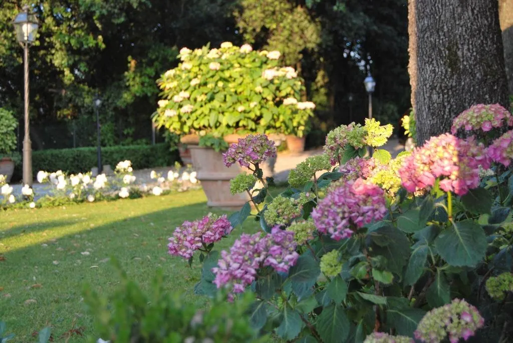 Terrace, Relais Villa Il Sasso, Florence