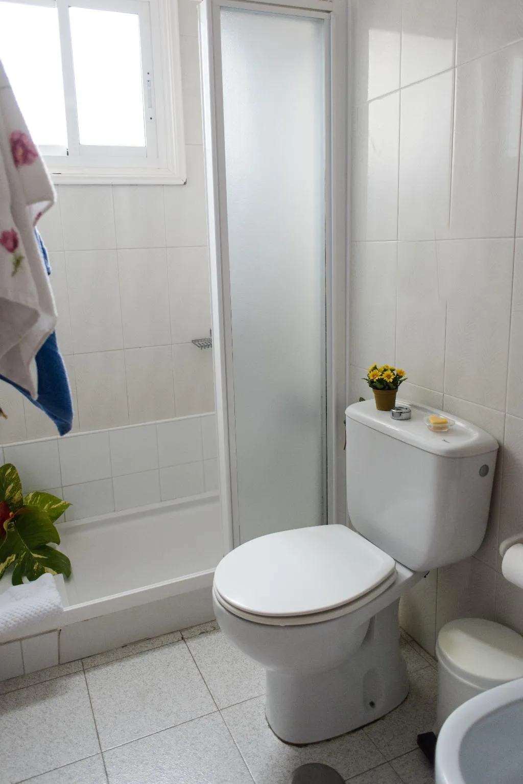 Room, Apartamentos Mayoysa, La Palma