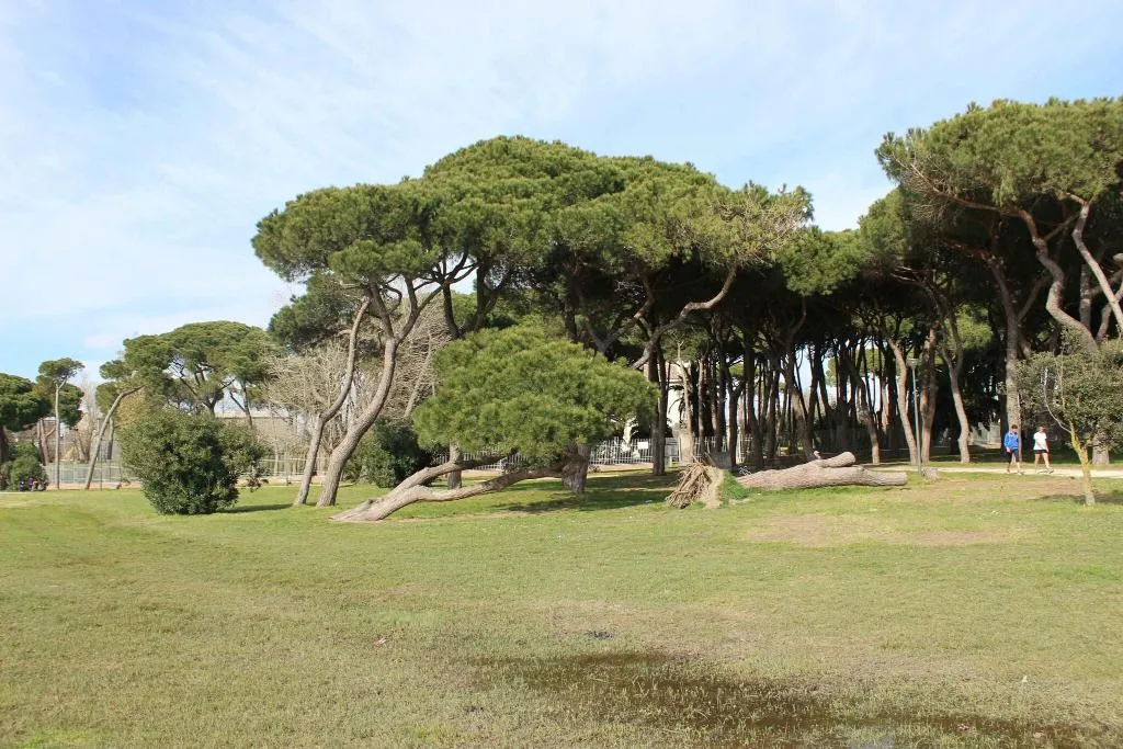 General view, Hotel Riviera Fiumicino, Rome