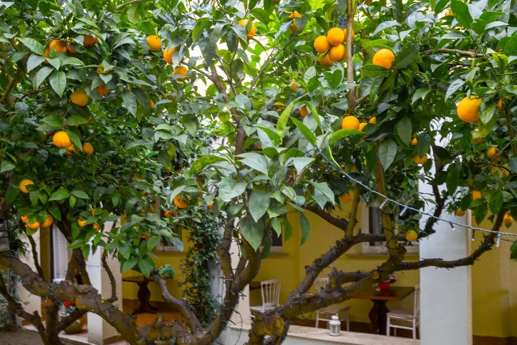 Restaurant, Palazzo Cappuccini Art Relais, Naples
