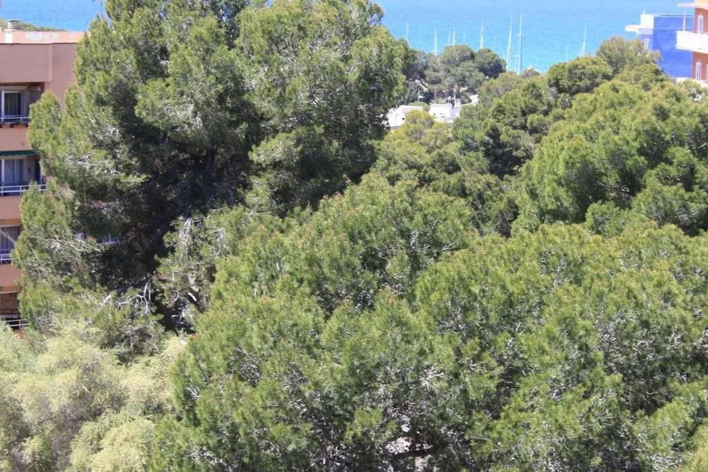 Beach, Fenix Hotel, Majorca