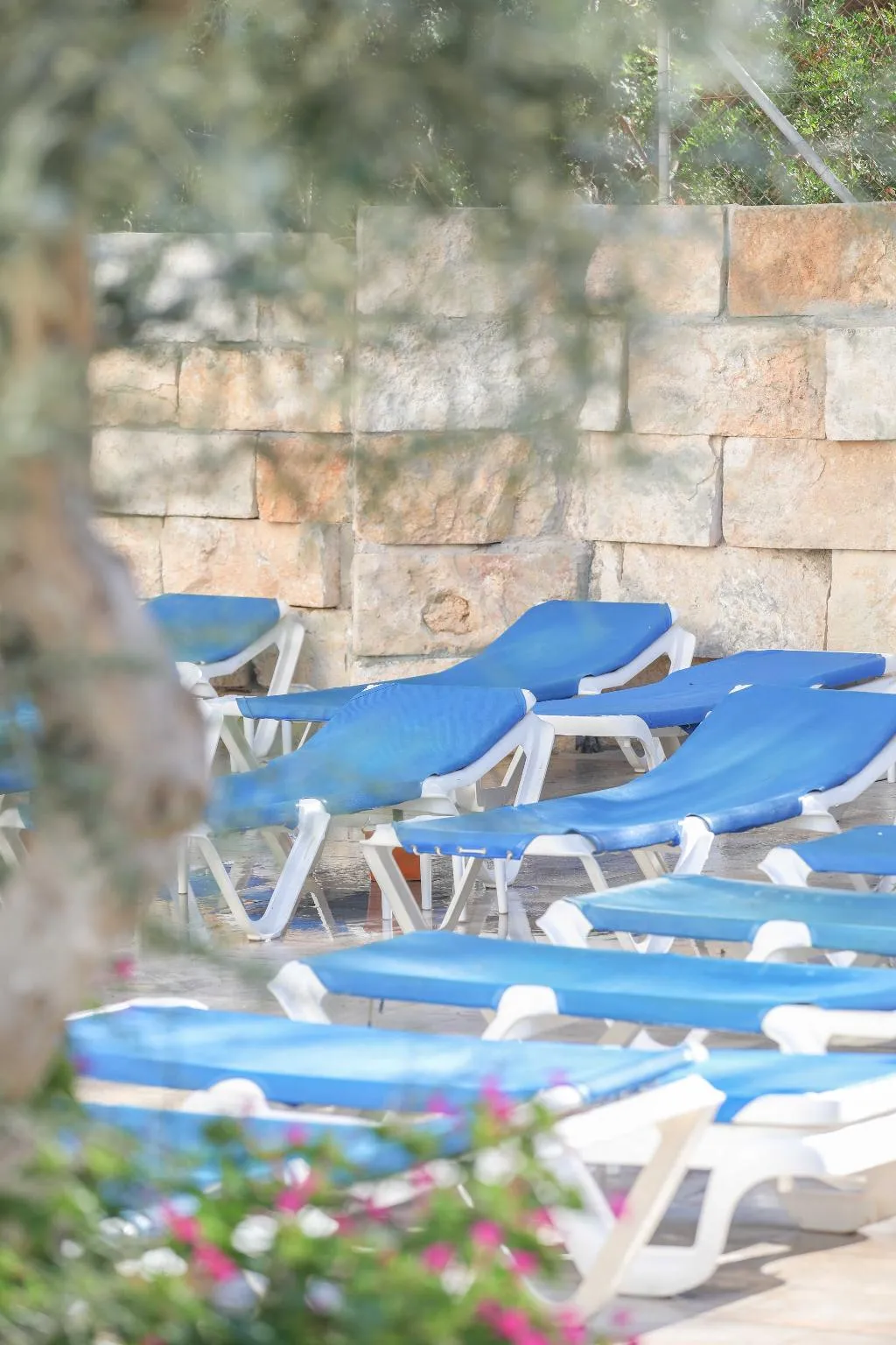 Sports and Entertainment, Elegance Playa Arenal, Majorca