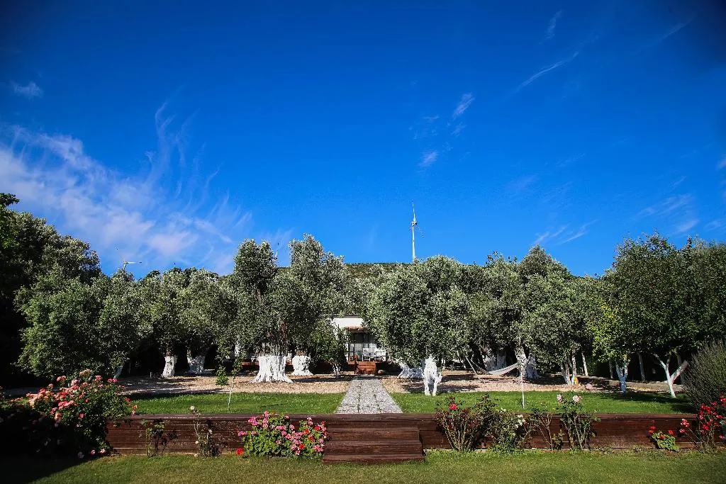 Terrace, Suess Alacati, Izmir