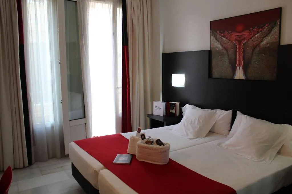 TWIN STANDARD Room, Del Pintor, Costa Del Sol