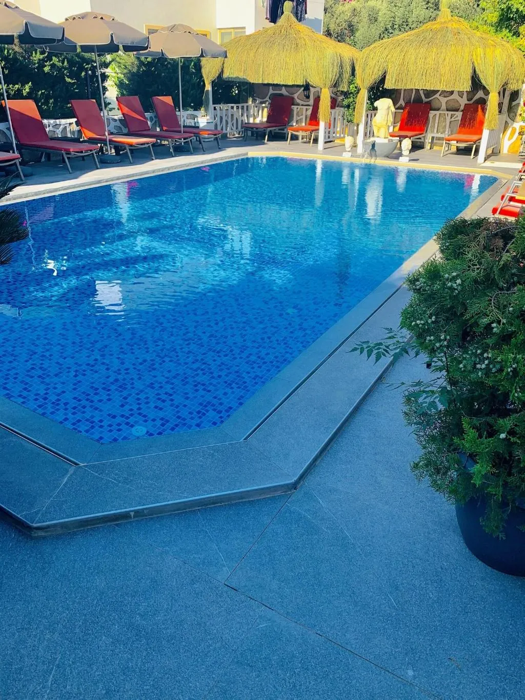 Sports and Entertainment, Artunc Hotel Bodrum, Bodrum