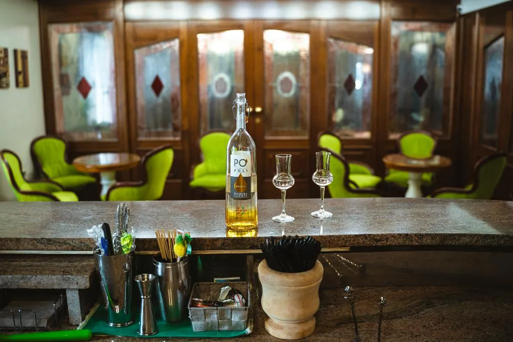 Bar, Bonotto Hotel Belvedere, Venice