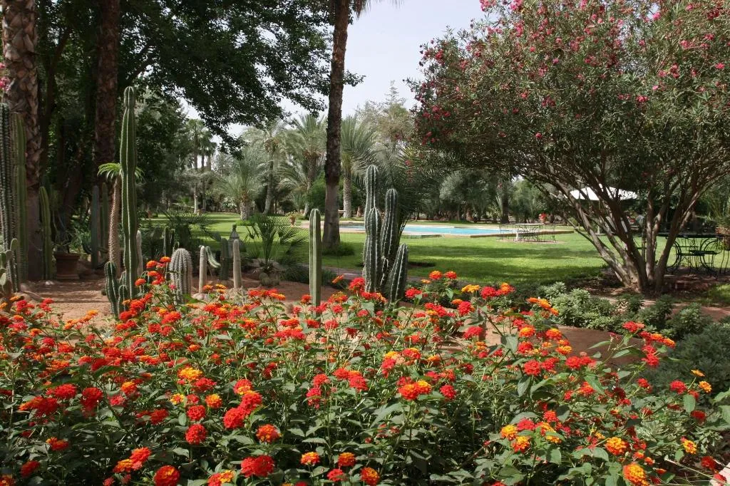 General view, Dar Ayniwen Garden Hotel & Bird Zoo, Marrakech