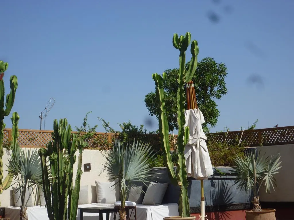General view, Riad Bellamane & Spa, Marrakech