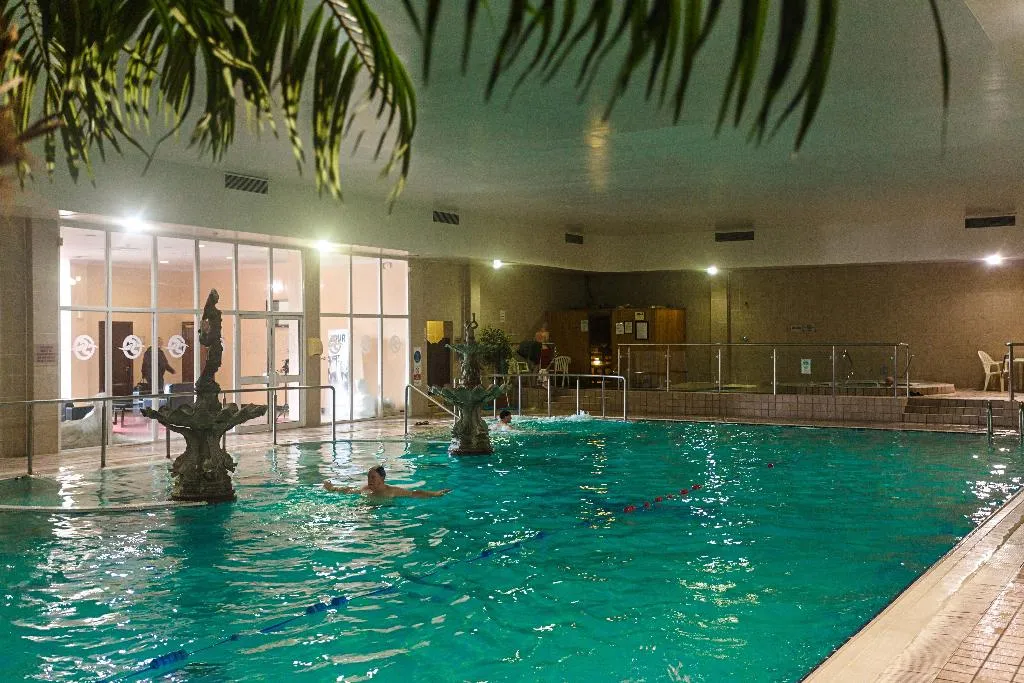 Pool, Sheldon Park Hotel & Leisure Centre, Dublin