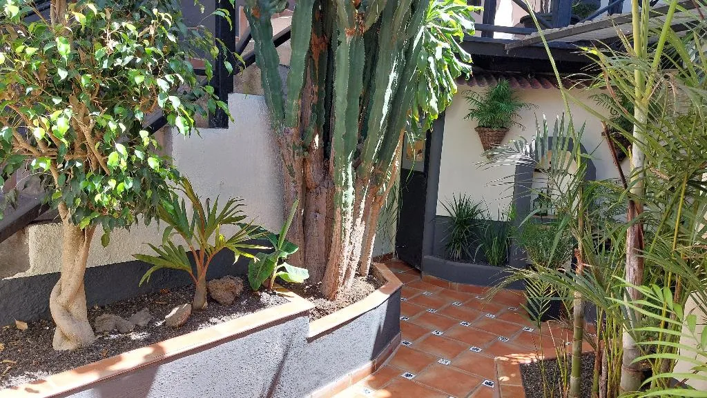 Conferences, Apartamentos Monasterio de San Antonio Only Adults, Tenerife
