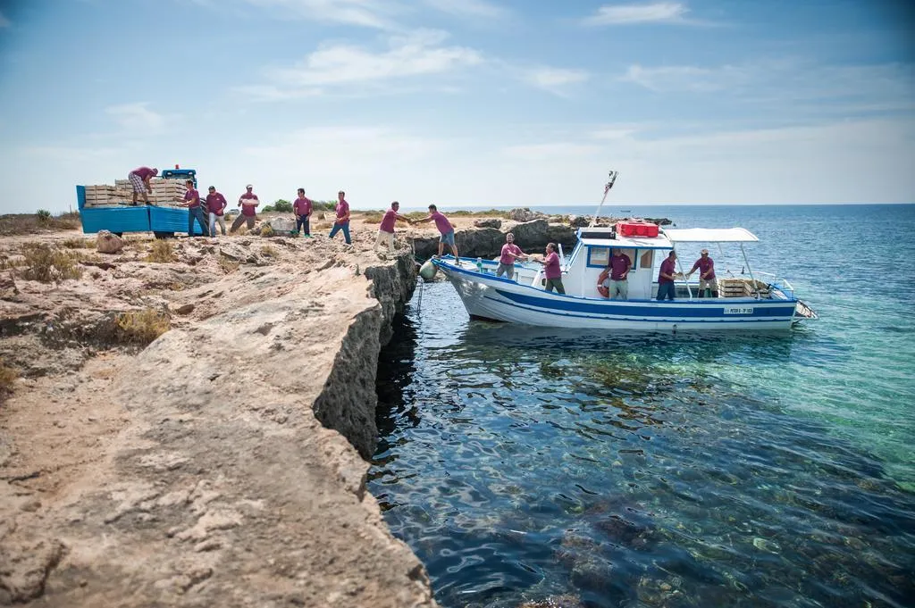 Beach, Calamoni Di Favignana, Trapani