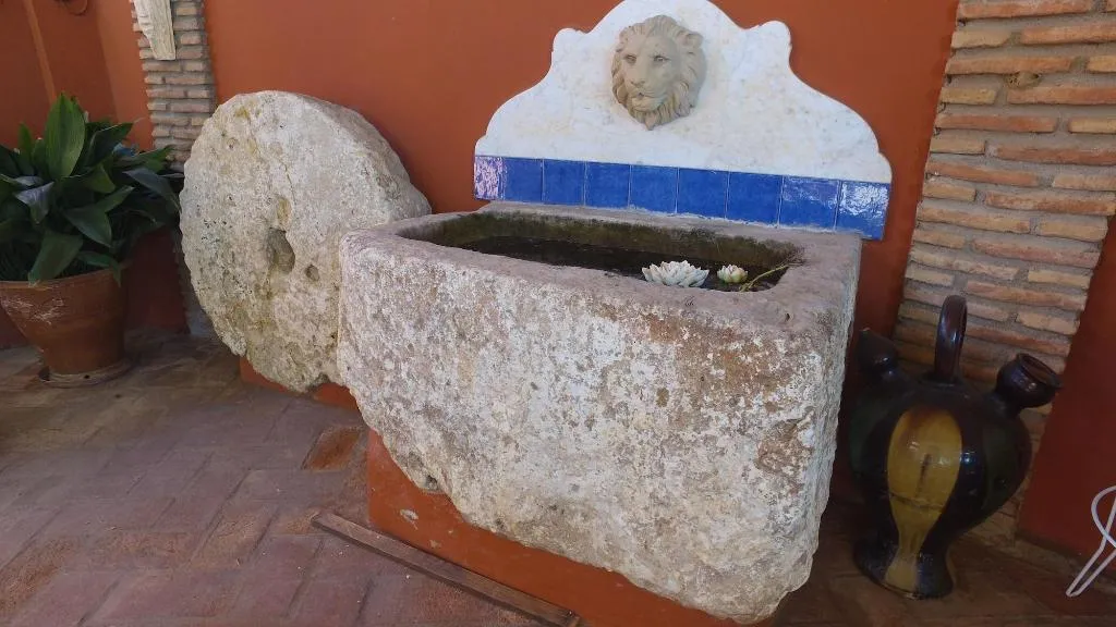 Sports and Entertainment, Finca La Vida Loca, Costa Del Sol