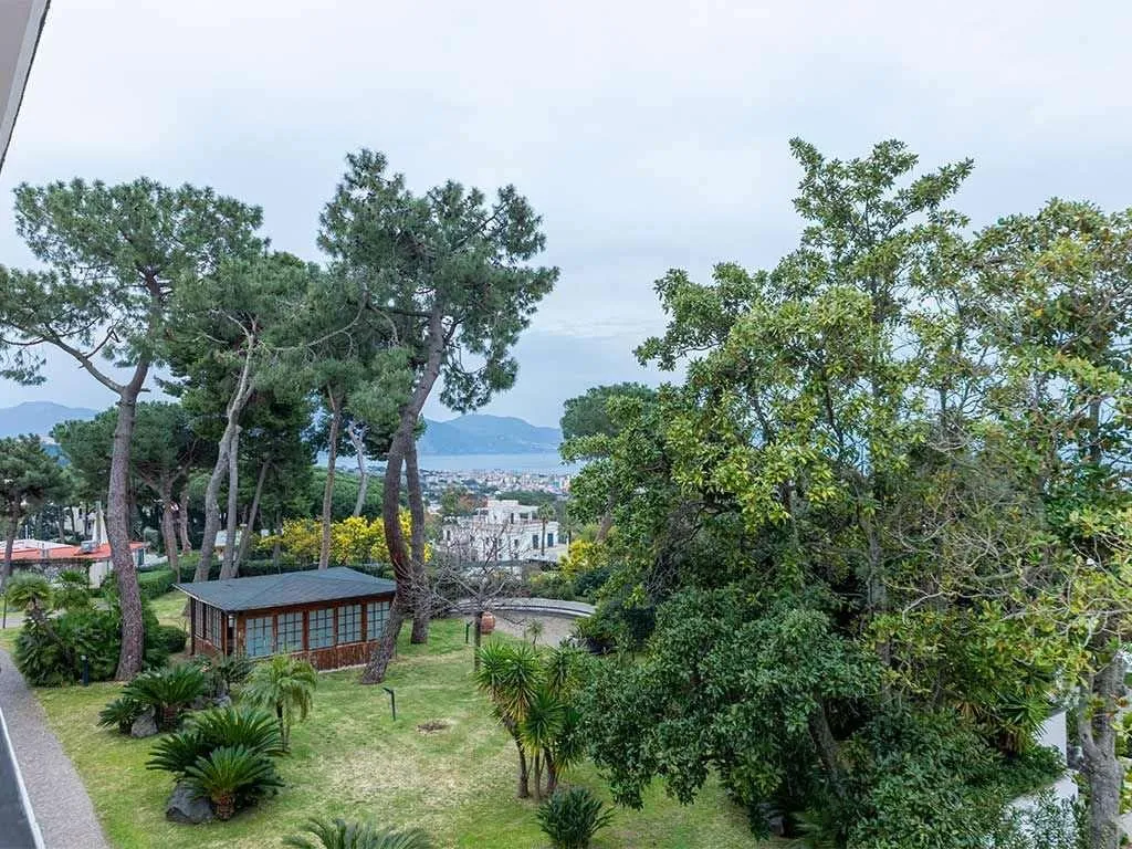General view, Sakura Hotel, Naples