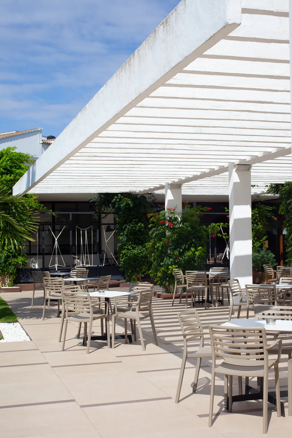Bar, Alga, Costa Brava