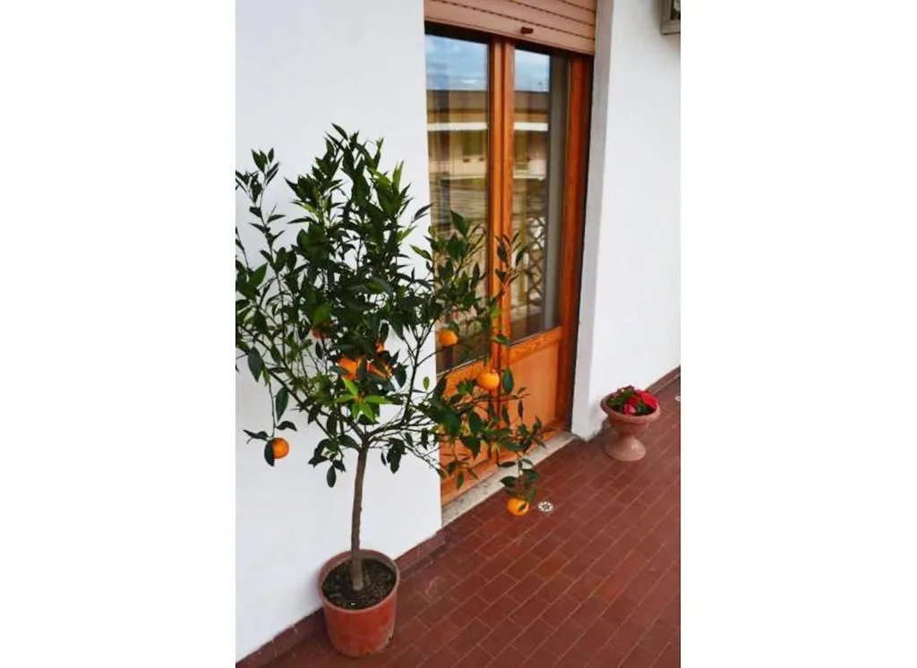 Room, Casa Celeste, Rome
